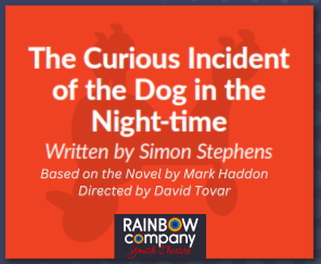 The Curious Incident of the Dog in the Night-Time