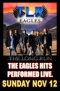 The Long Run: Experience The Eagles