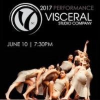 Visceral Studio Company 2017 Performance