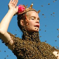 2018 Film: Queen of the Sun: What Are the Bees Telling Us?