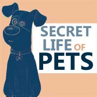 Secret Life of Pets (Grades K-2)