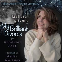 My Brilliant Divorce