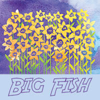 S19 yc Big Fish