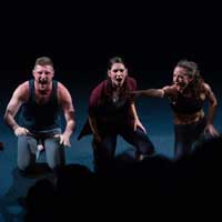 ZviDance / Zvi Gotheiner