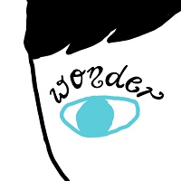 Wonder  (Grades 3-5)