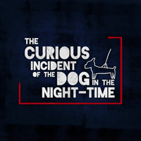 THE CURIOUS INCIDENT OF THE DOG IN THE NIGHT-TIME