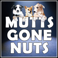 Mutts Gone Nuts 2019