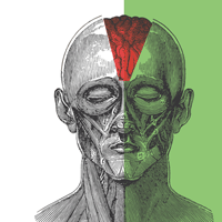 The Neurology of the Soul