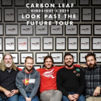 Carbon Leaf 19