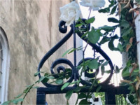 PS19 Architectural Adventures Along the Streets of Historic Charleston