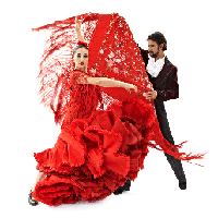 2020 Flamenco Vivo