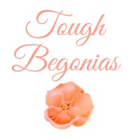 Tough Begonias