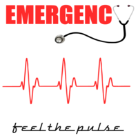Emergency The Musical