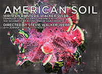 American Soil - Project/Project Shubert