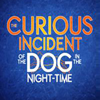 The Curious Incident of the Dog in the Night-time