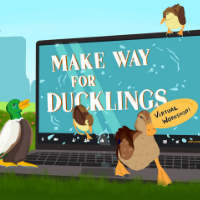 Make Way for Ducklings- Live Streaming