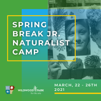 Jr. Naturalist Spring Break Camp 2021