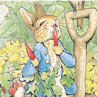 PETER RABBIT AND ME 
