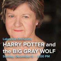 Lakeview Orchestra 2021: Harry Potter and the Big Gray Wolf					