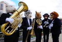 2022 PS Animalia Brass