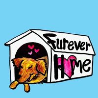 Furever Home a New Musical