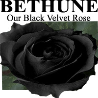 BETHUNE: Our Black Velvet Rose