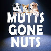 Mutts Gone Nuts 2023