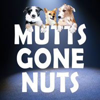 Mutts Gone Nuts 2023