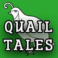 Quail Tales