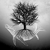 Like Father, Like Salt