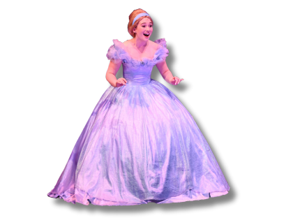 A Dream is a Wish Princess Tea 24
