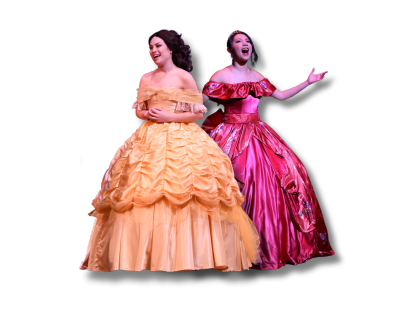 A Dream is a Wish Princess Concert 24