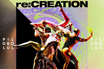 PILOBOLUS re:CREATION