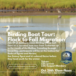 Birding Boat Tour: Flock to Fall Migration