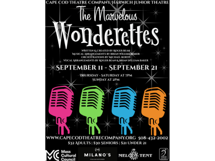 THE MARVELOUS  WONDERETTES