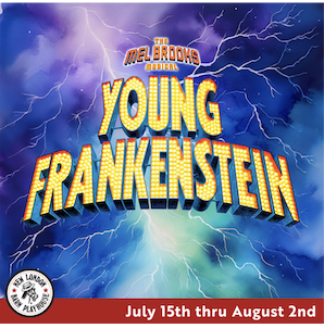 Young Frankenstein