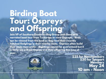 Osprey & Offspring Boat Tour 2026