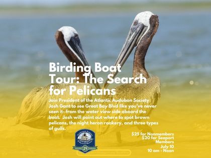 Pelicans Boat Tour 2026