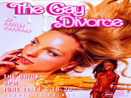 The Gay Divorce
