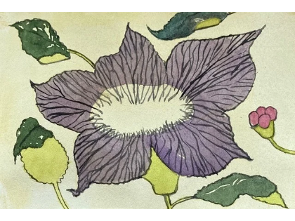 Drawing Plants Workshop Winter 2027